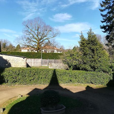 Chateau De Saint-Antoine Bonnac-la-Côte Pokój zdjęcie